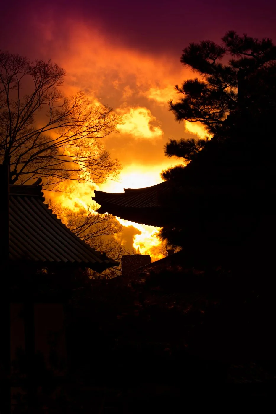 Kyoto, dusk — photograph by John Scott